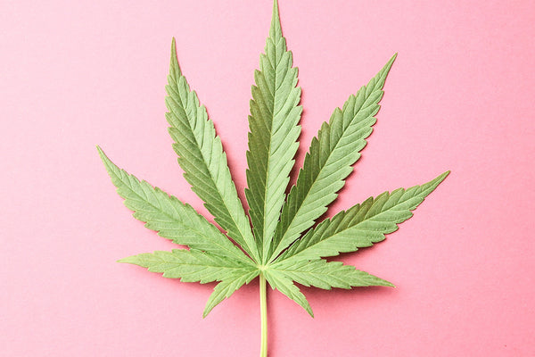 NY Women May Soon be Eligible for Medical Marijuana for Cramps